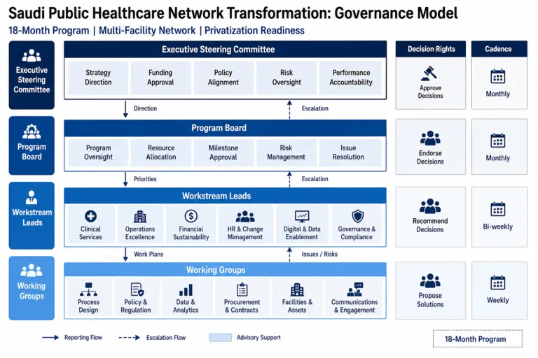 Governance — Healthcare System Transformation & Privatization Readiness Advisory for a Public Healthcare Network in Saudi Arabia